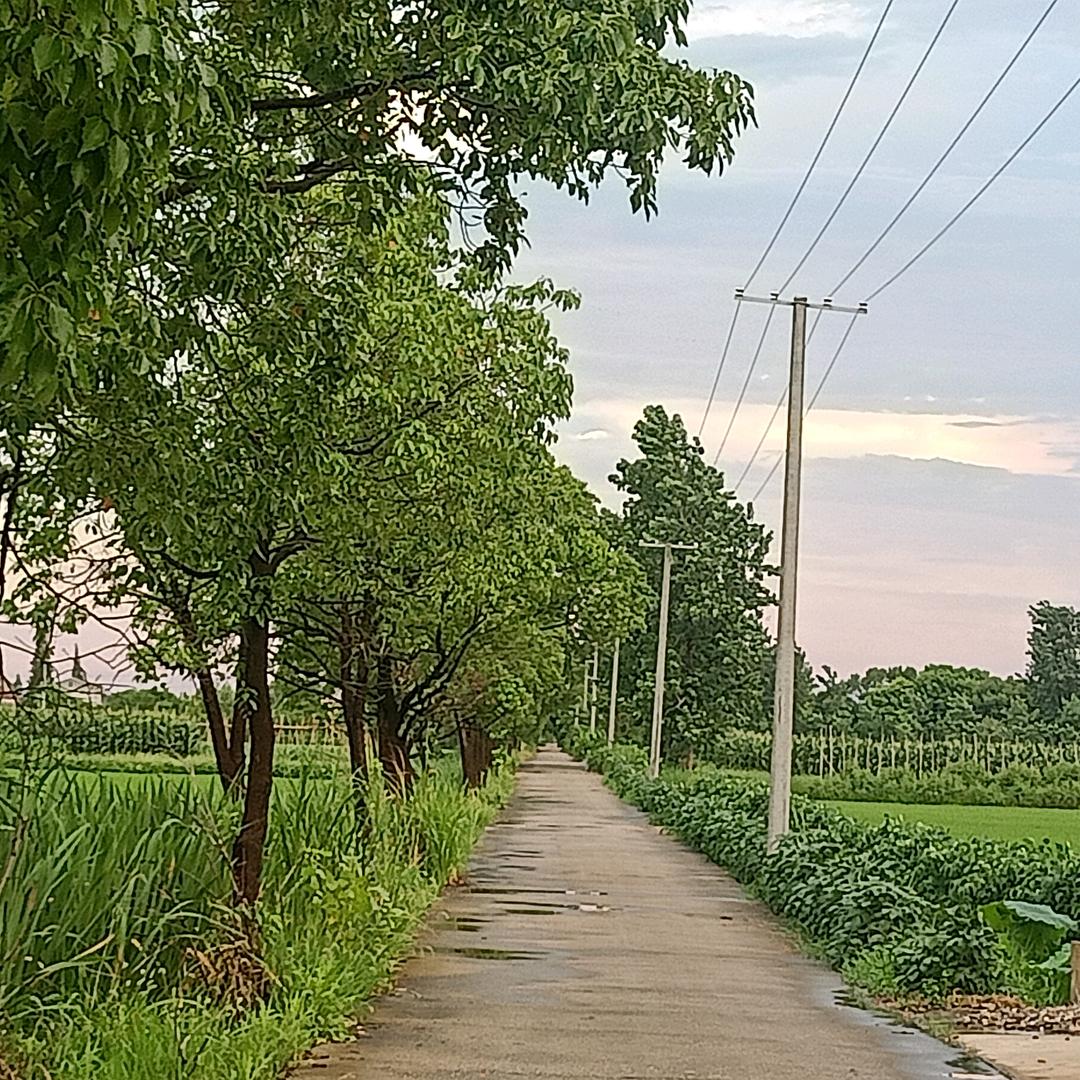 大风扬粗沙