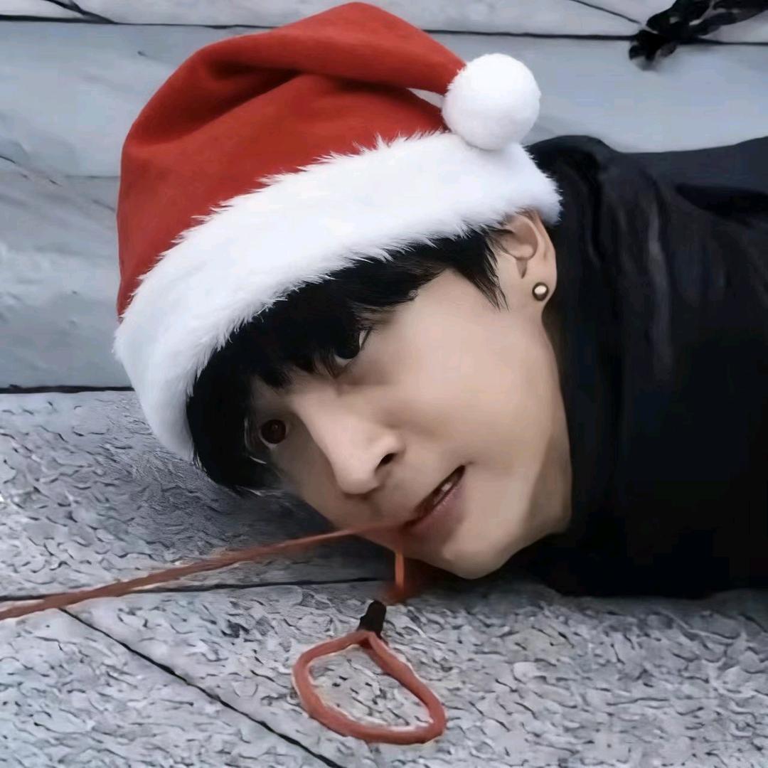 花开的时候你就来看我