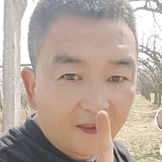 蔡歌