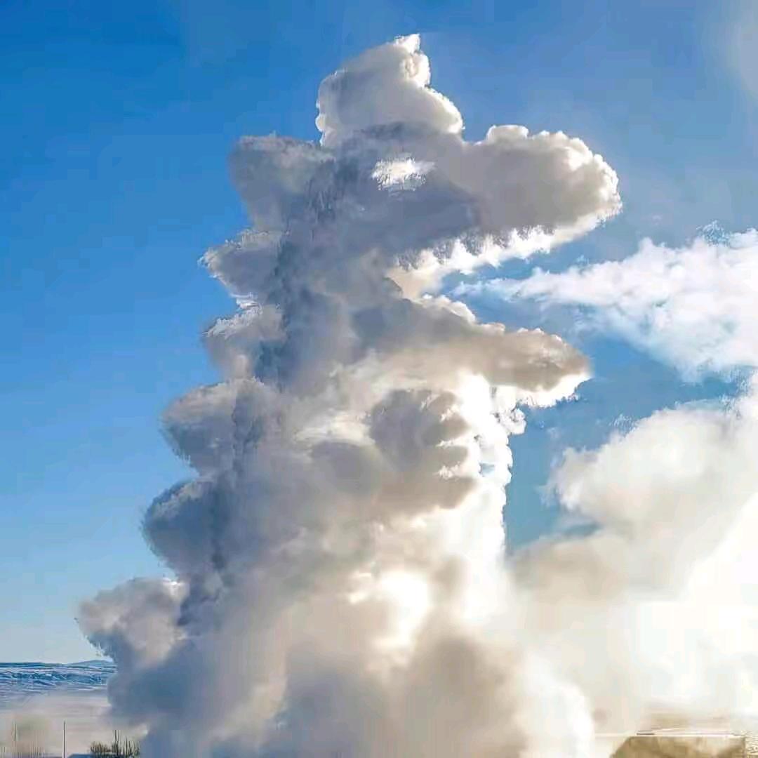 手抓饼要蛋不要肠