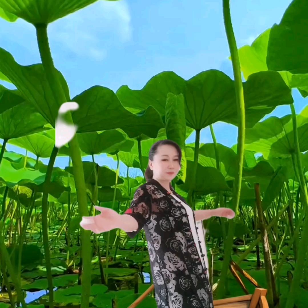 香山红叶