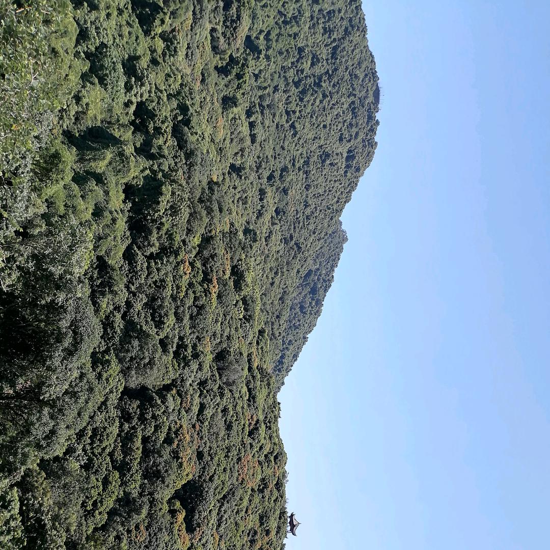 ❤️家有一女茁成长❤️