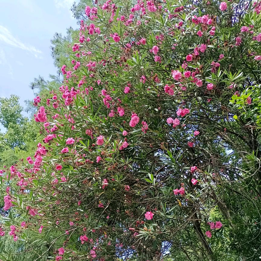 @微笑向前💫💫💫