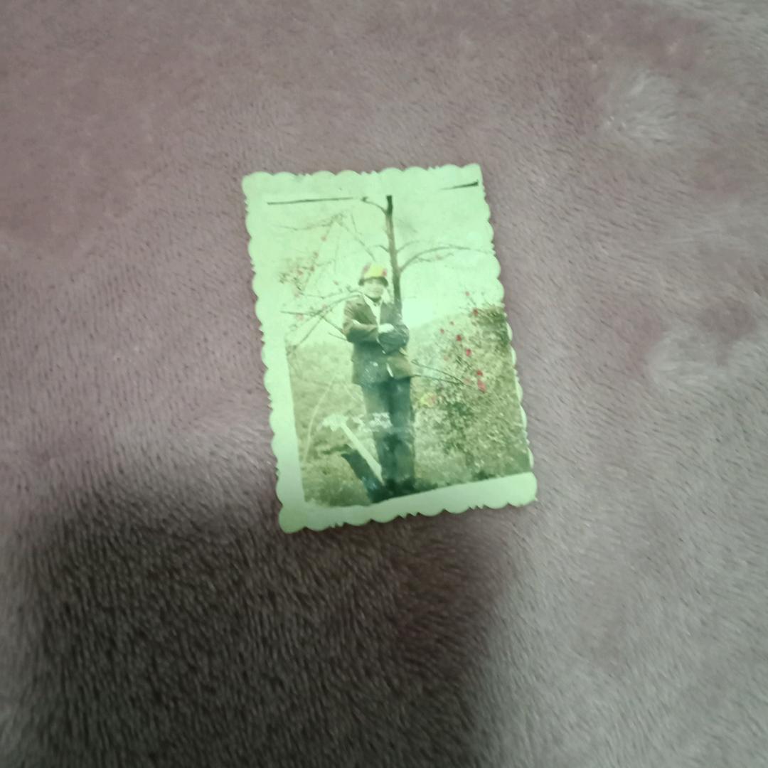 漂泊的思念