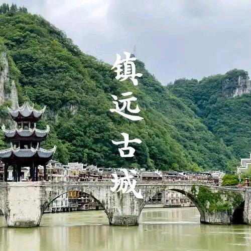 樱鹰