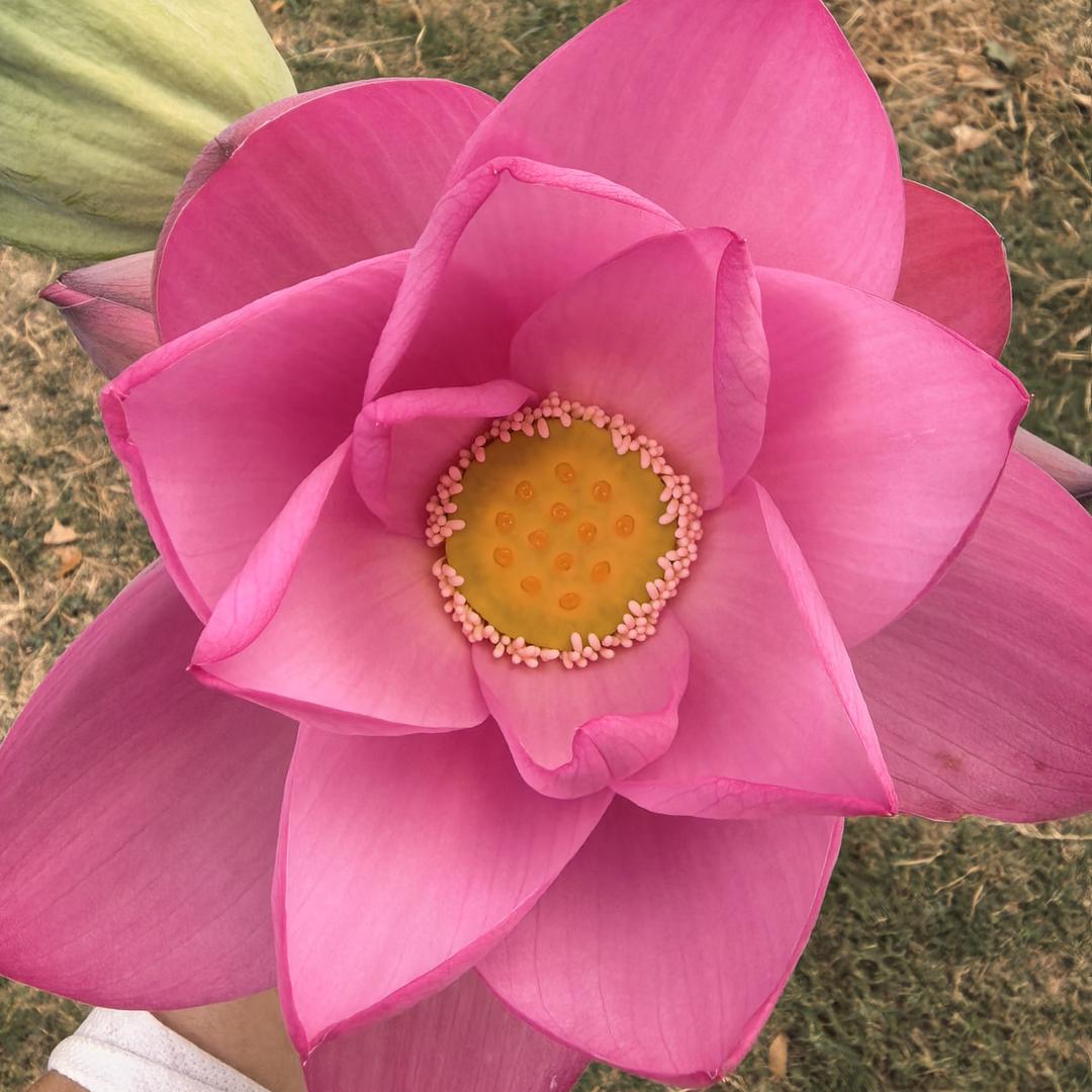 小李同学