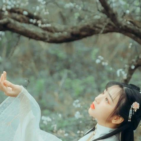 曲中人