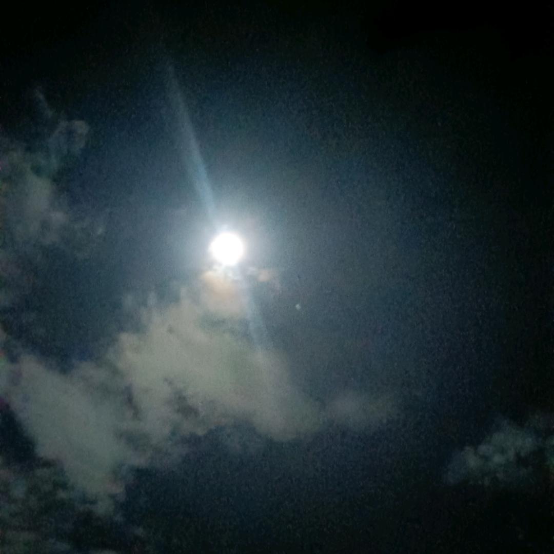 缘来꧔ꦿ້໌ᮨ࿐财来