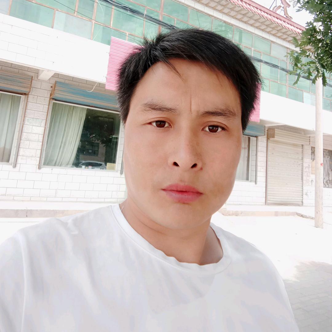 理想哥
