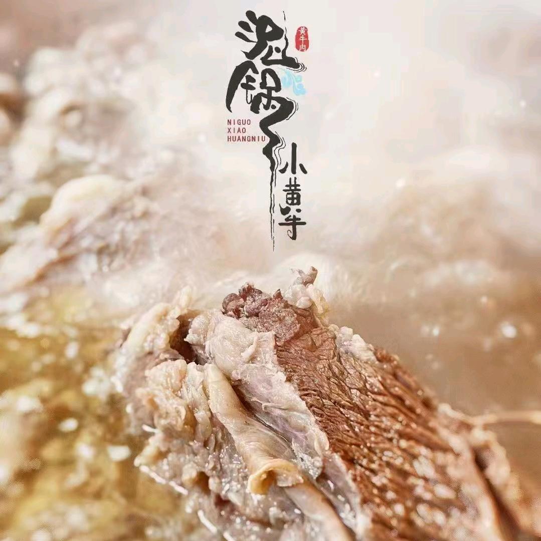 泥锅小黄牛官方号