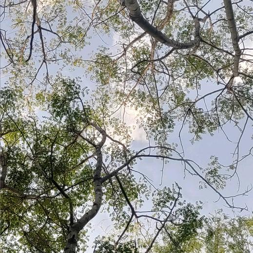 ☁云淡风轻