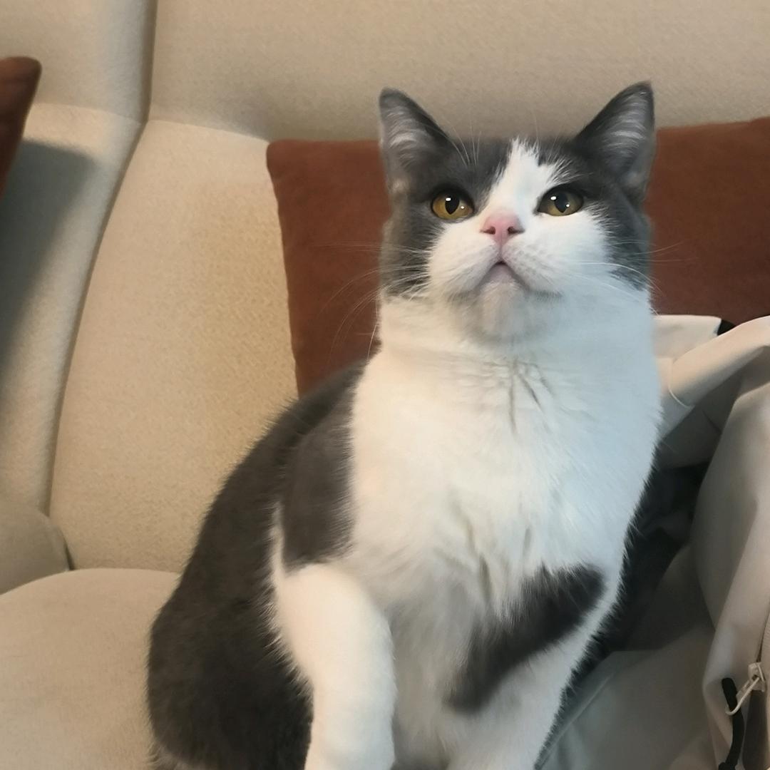 温言观世界