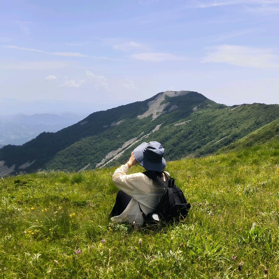秀秀