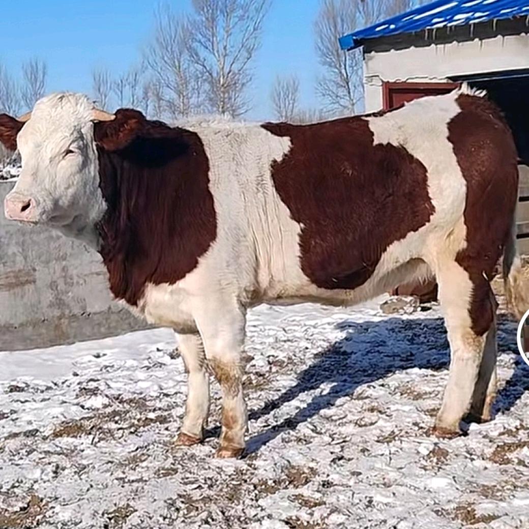 00后经纪人小刘同学