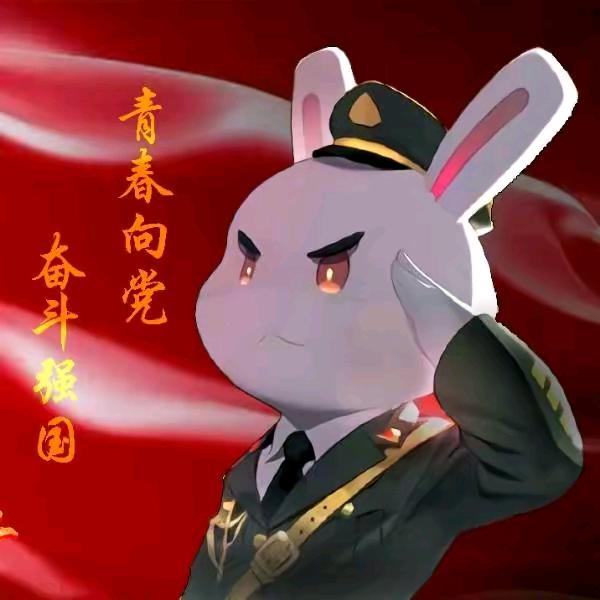 保家卫国大大王