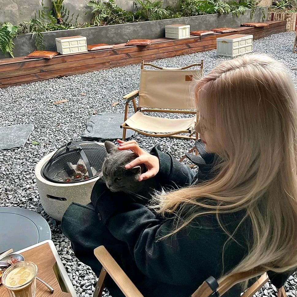 桃子味的养乐多