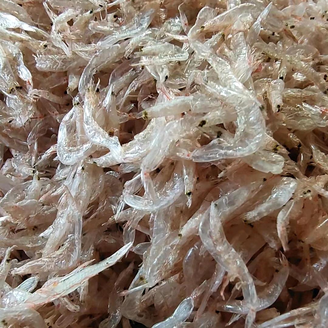 一手货源批发零售虾皮虾酱