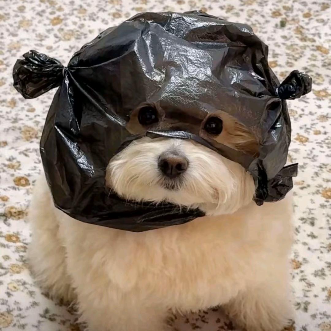 晓风残月。，，，，