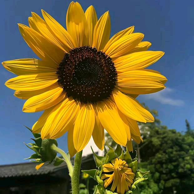 滕州-不动产🏠