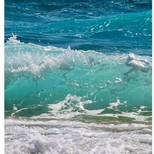 可以寵你⁵²º💕也可以換你🤟