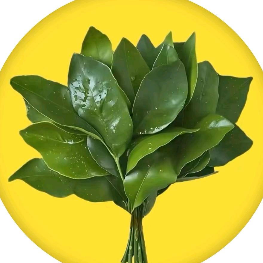 阿泳