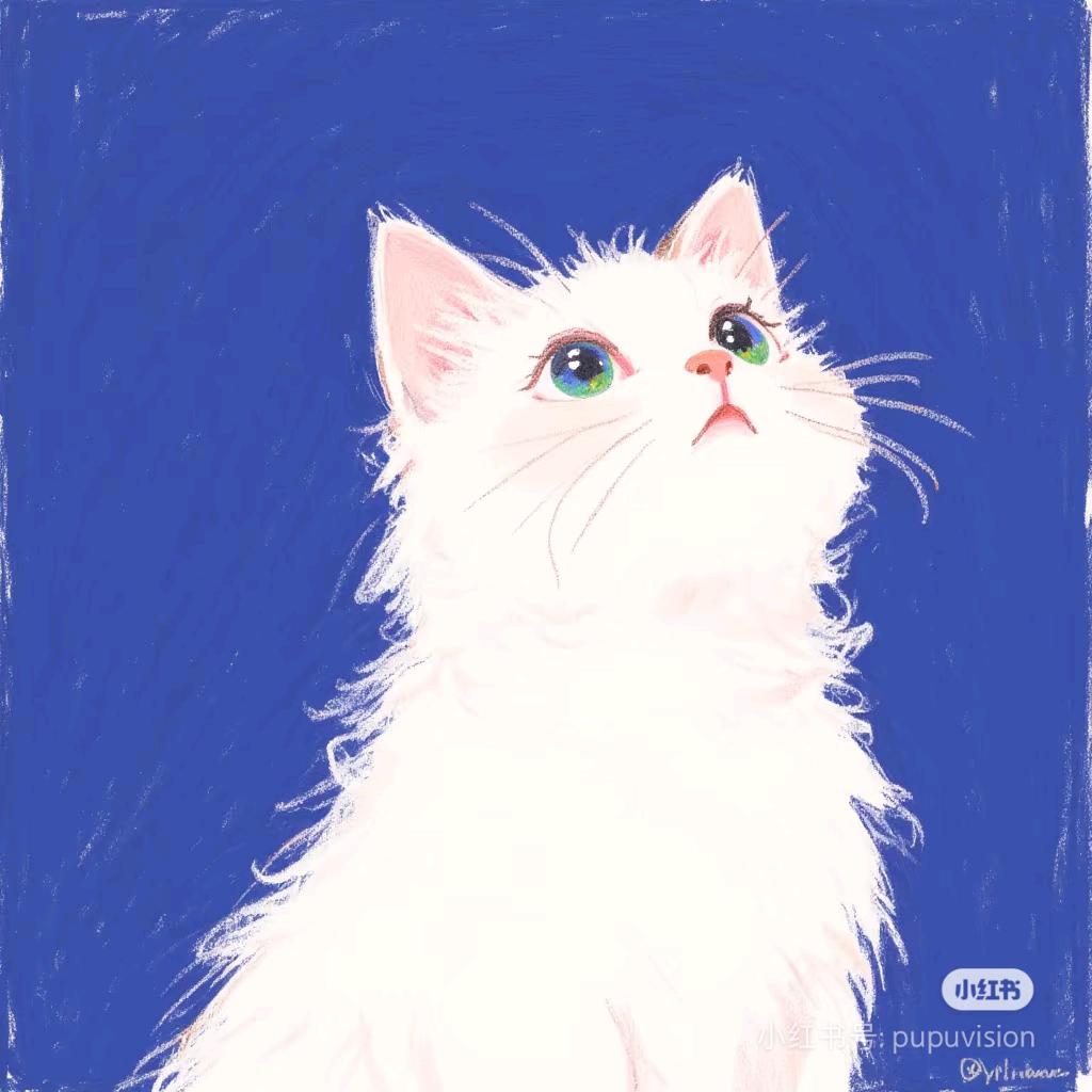 不瘦30斤不改名