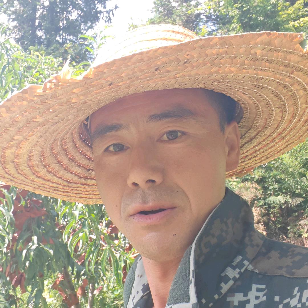 佳航冬桃