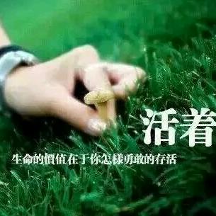 诗晴媛