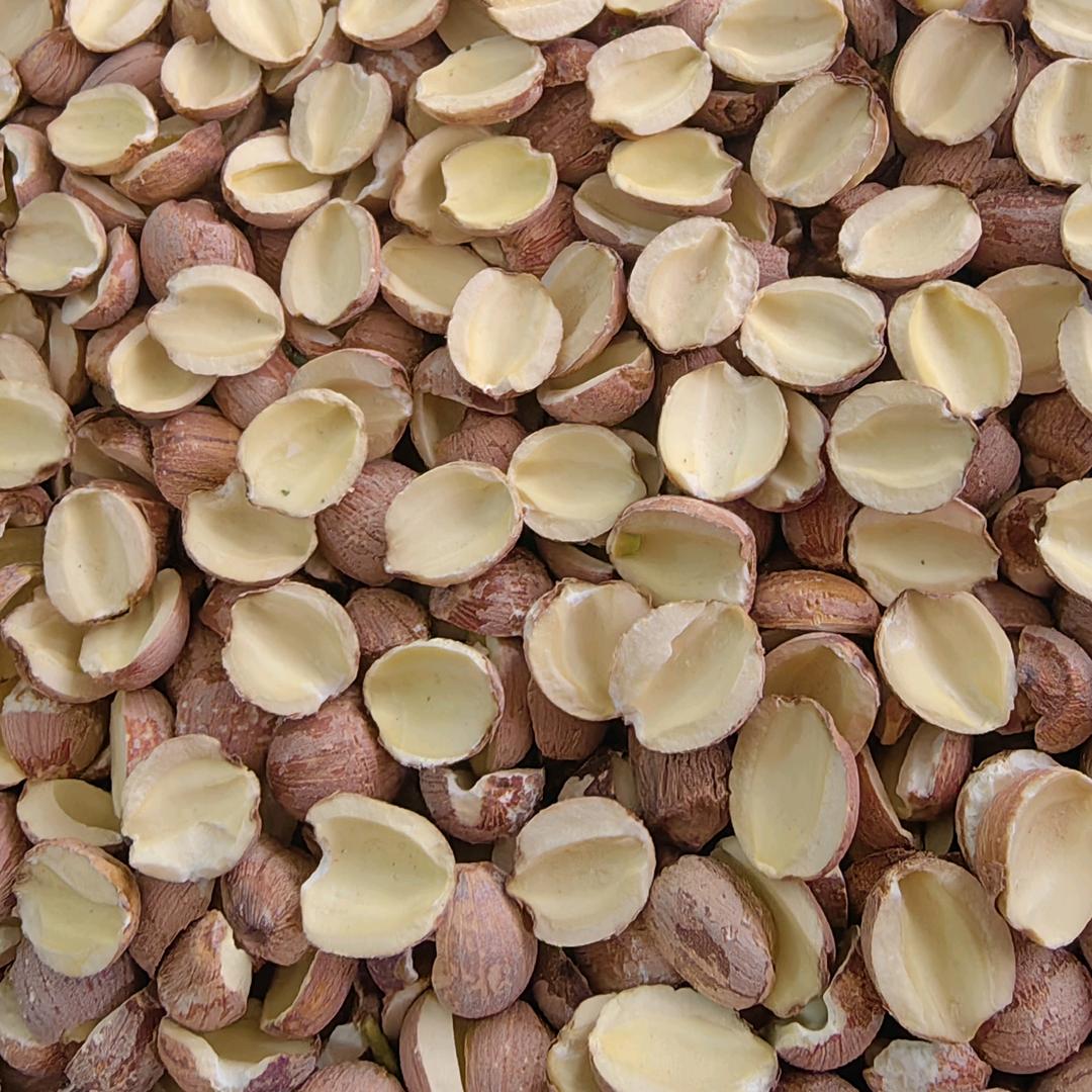 湖南特产，台源贡莲