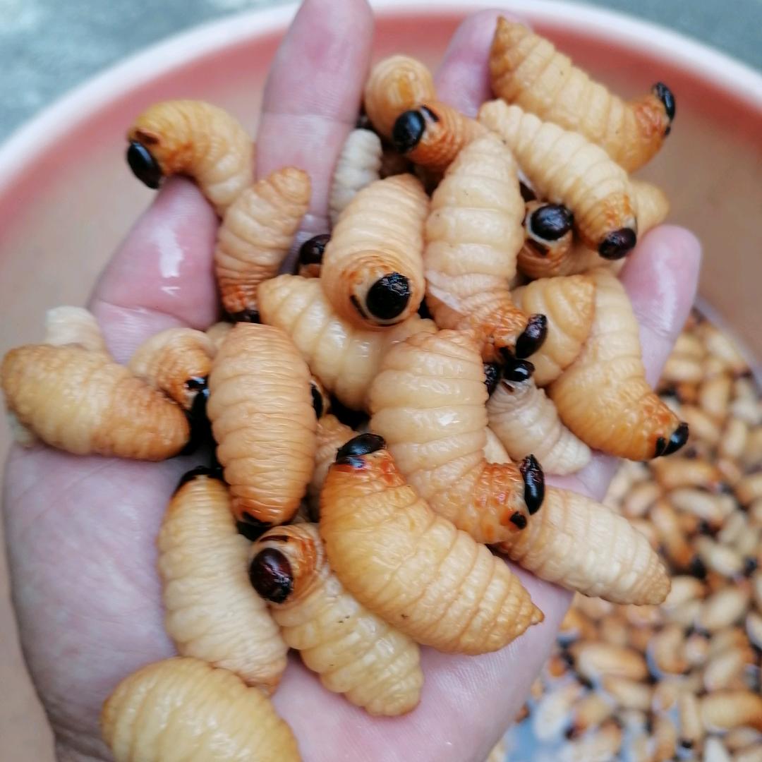 傻2