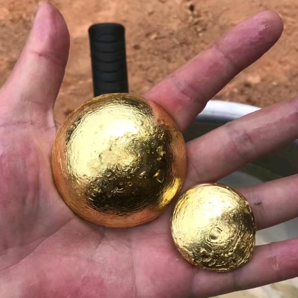 金虫