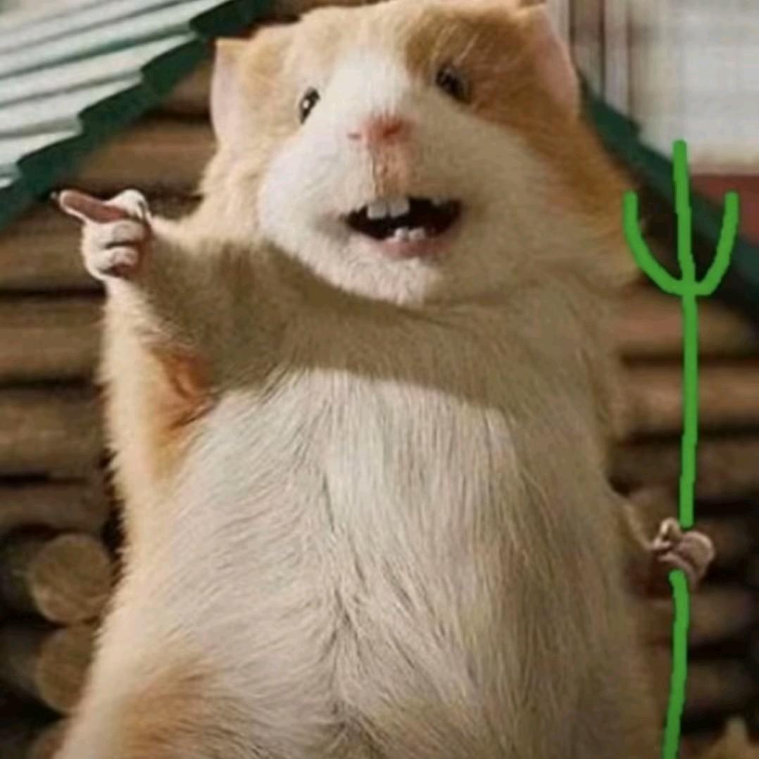 嘻嘻哈哈(金铲铲)