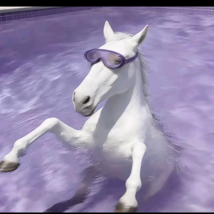 𝒻吃枣發生🥜𝓏