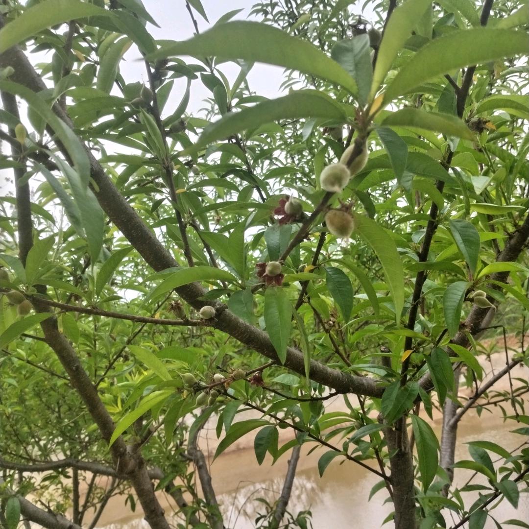 财源广进