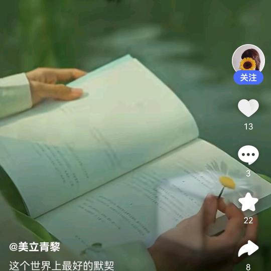 子月宝儿