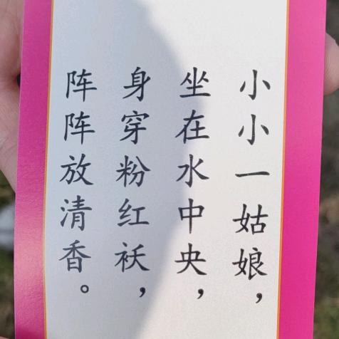 椰趣