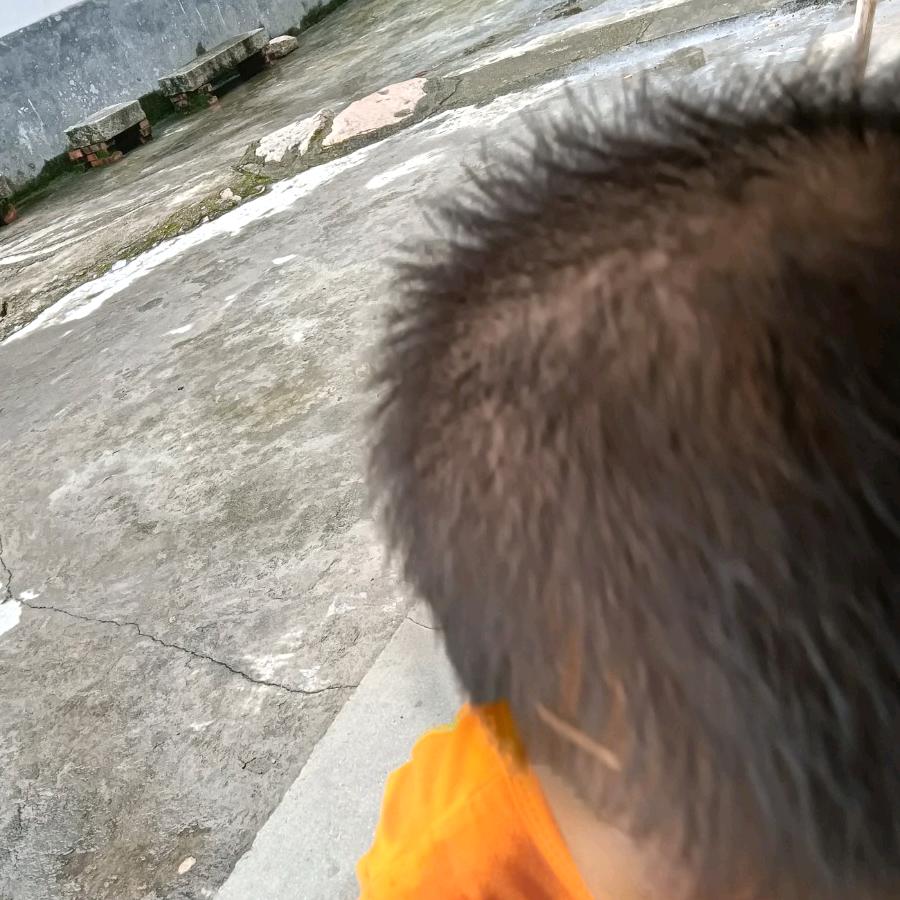 一尘土