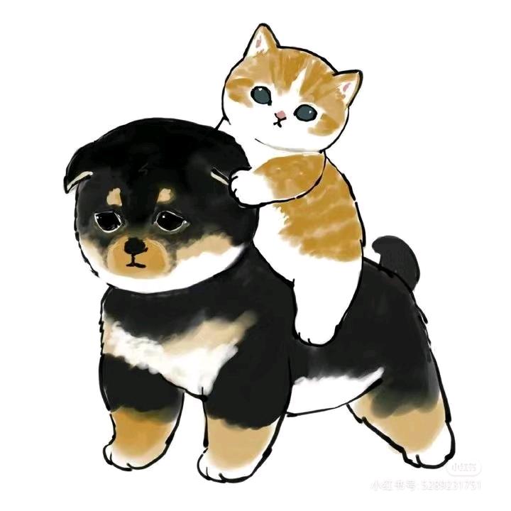 小海豚