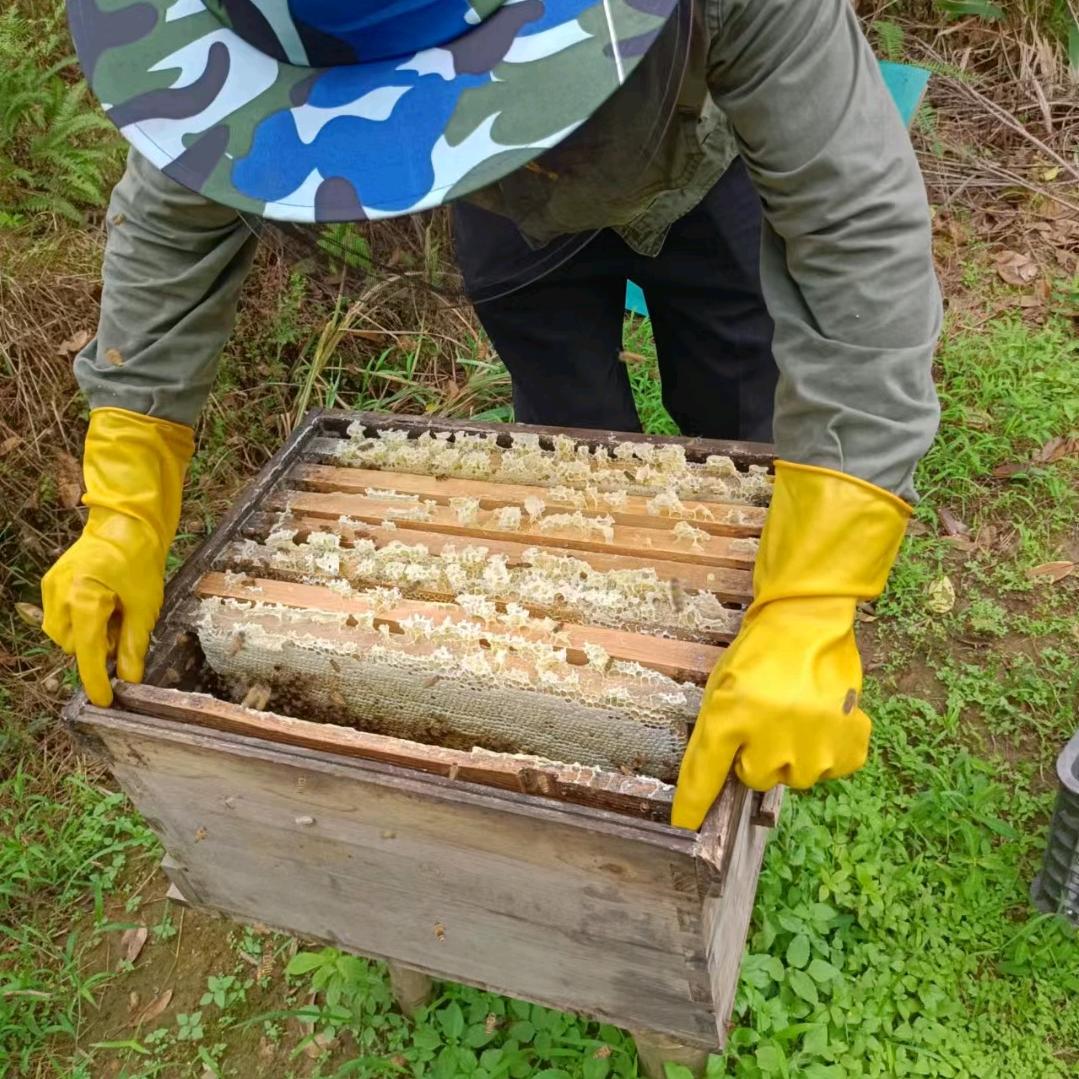 国家森林公园蜂蜜（信丰县金盆山）互关