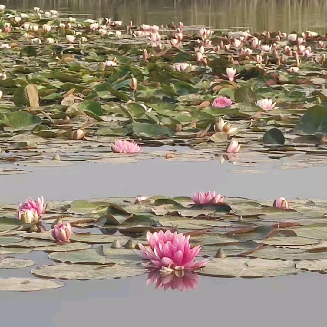 涵钰