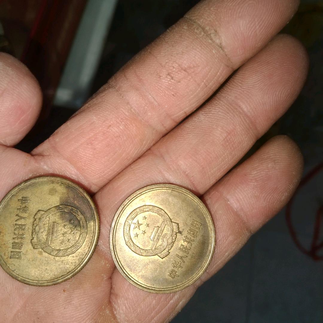 巧儿的
