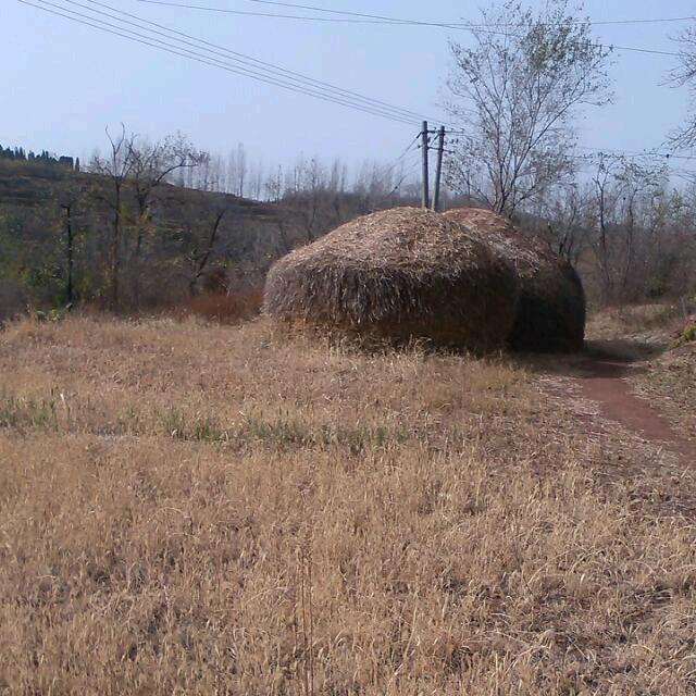 伍禾（随车吊起重吊装运输一体化）