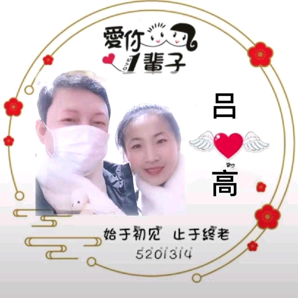 鑫月