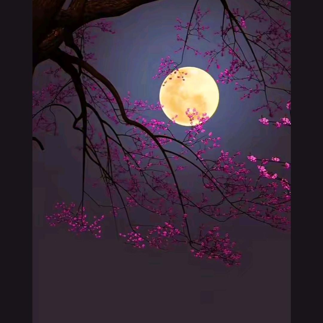 💧枕梦听雨💦