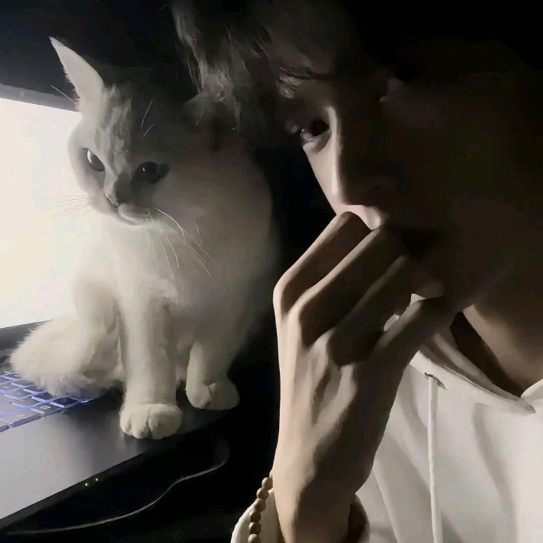 GN