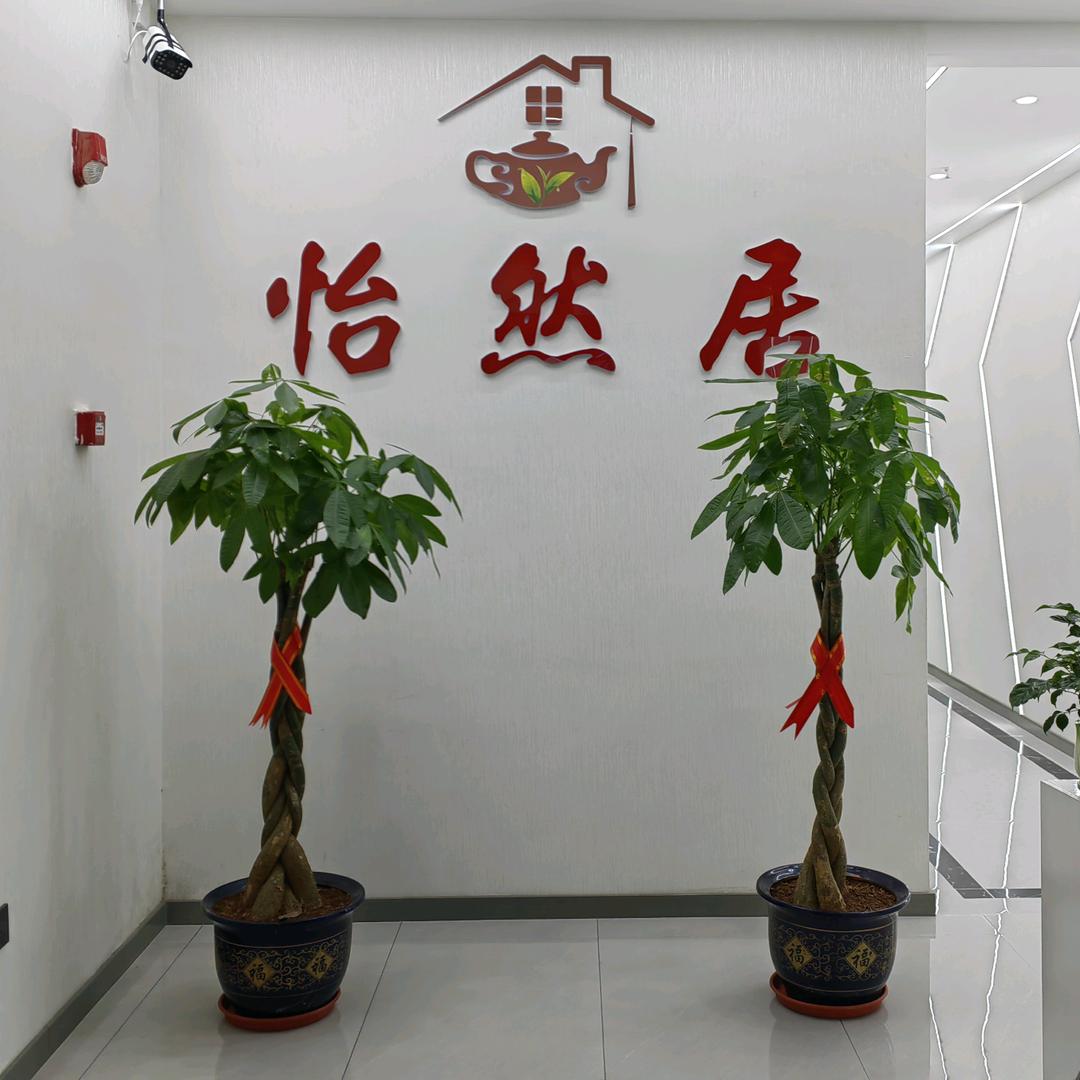 江津·怡然居（棋牌、住宿）