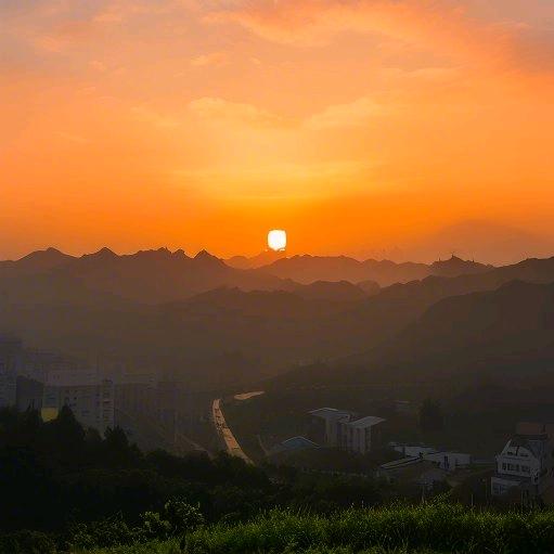 东方树叶枸杞茶