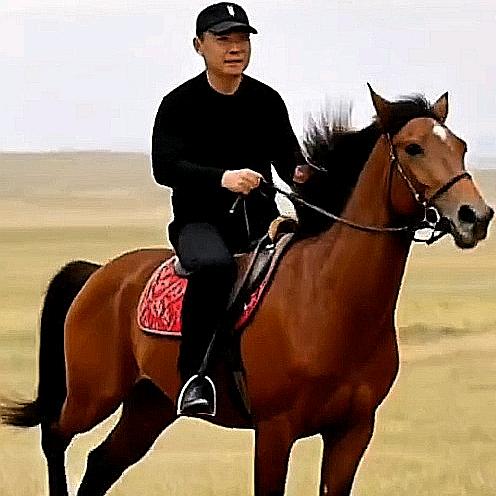 闪⚡电