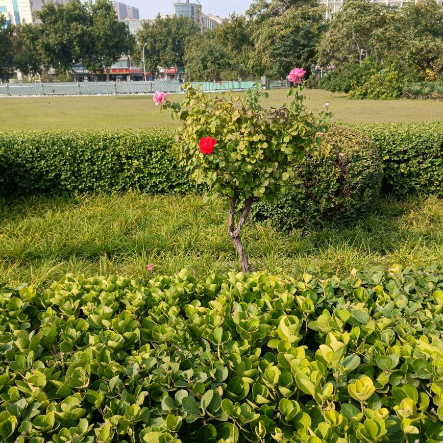 一生平安