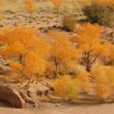 离开为了下次相逢